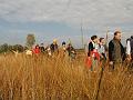 Wandeling van Monke en Judith op 21-10-2012 (28)